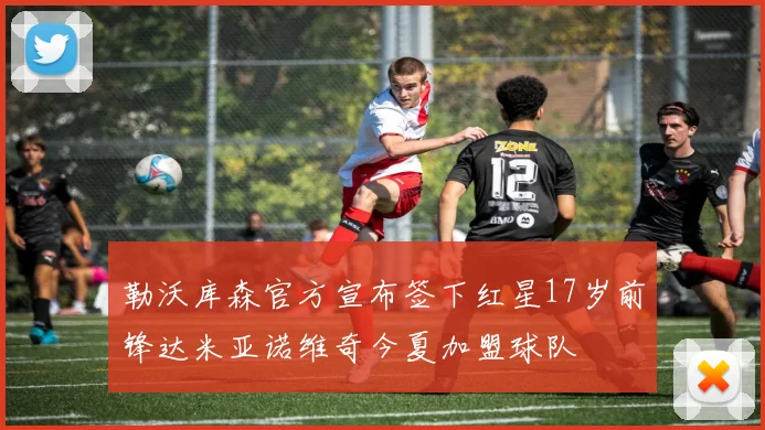 勒沃库森官方宣布签下红星17岁前锋达米亚诺维奇今夏加盟球队