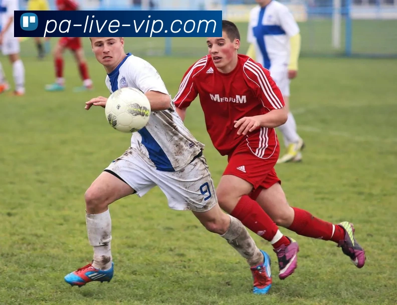 pa真人服务体系